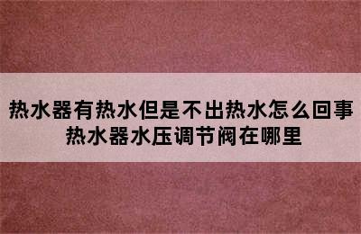 热水器有热水但是不出热水怎么回事 热水器水压调节阀在哪里